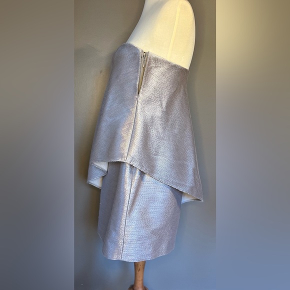 HALSTON HERITAGE Strapless Tiered Embelished Mini Tube Silver Dress Size 4 - Picture 3 of 10